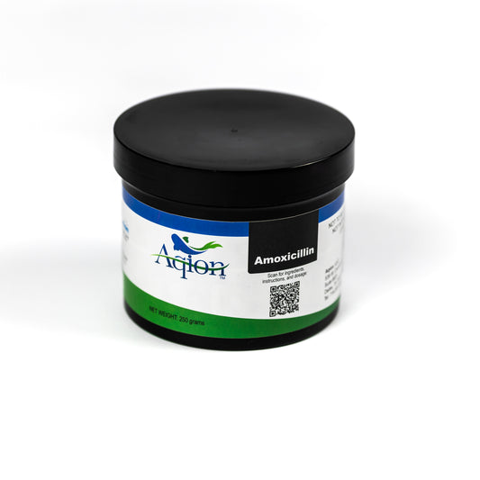 Amoxicillin Trihydrate – Aqion 250g Jar for Ornamental Aquarium & Pond Fish