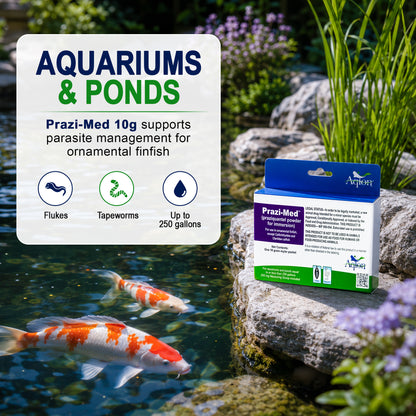 Prazi-Med Praziquantel 10g – Dosing & Aquarium Treatment Infographic