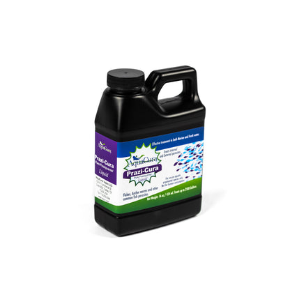 Praziquantel – Aqion 16 oz Liquid Concentrate for Ornamental Aquarium & Pond Fish (Angle)