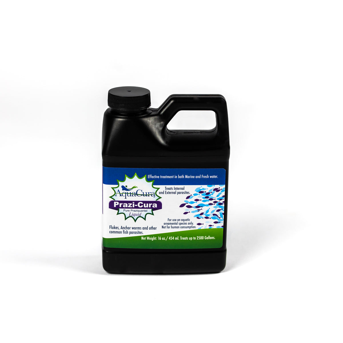 Praziquantel – Aqion 16 oz Liquid Concentrate for Ornamental Aquarium & Pond Fish (Front)